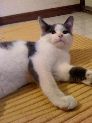 Endearing Ender