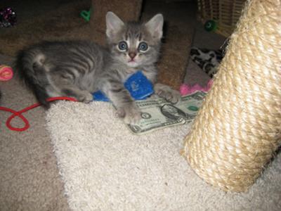 I look innocent, but I'm a little ball  of  trouble!