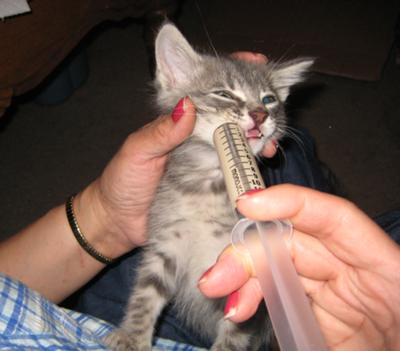 Feeding time!