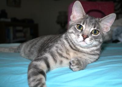 Just Taking a Little Rest From Making Mischief. . .
