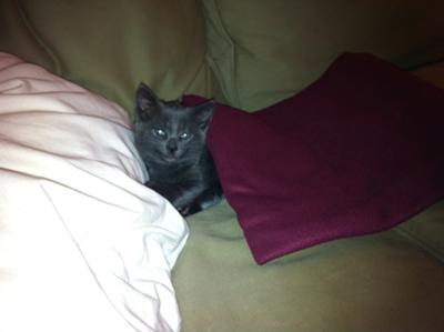 Takin' over the couch: )