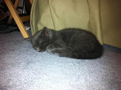 Pooped after play...