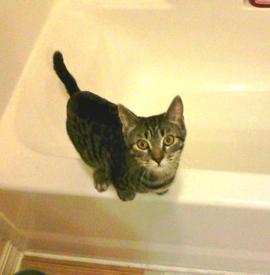 Bath Time