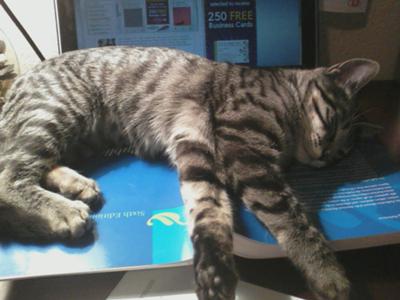 Helping with homework