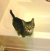 Bath Time