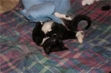 Anything Inta-resting On The Ceiling?